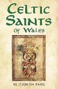 Celtic Saints of Wales