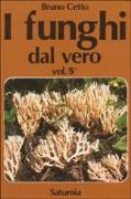 I funghi dal vero