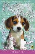 Magic Puppy: the Perfect Secret