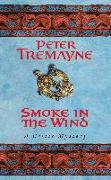 Smoke in the Wind (Sister Fidelma Mysteries Book 11)