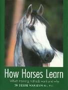 How Horses Learn: Which Training Methods Work and Why