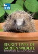 Secret Lives of Garden Wildlife