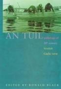 An Tuil - the Flood