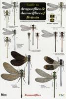 Guide to the Dragonflies and Damselflies of Britain