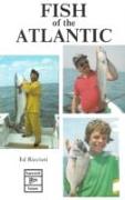 Fish of the Atlantic