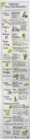 Natural First Aid Remedies Chart