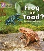 Frog or Toad?