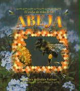 El Ciclo de Vida de la Abeja (the Life Cycle of a Honeybee) = Life Cycle of a Honeybee