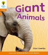 Oxford Reading Tree: Level 6: Floppy's Phonics Non-Fiction: Giant Animals