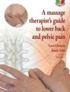 A Massage Therapists' Guide to Lower Back and Pelvic Pain [With DVD]