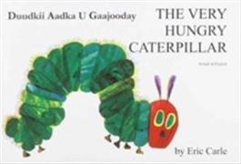 The Very Hungry Caterpillar in Somali and English
