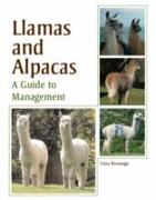 Llamas and Alpacas