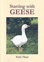 Starting with Geese