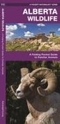 Alberta Wildlife: A Folding Pocket Guide to Familiar Animals