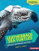 Leatherback Sea Turtles: Ancient Swimming Reptiles