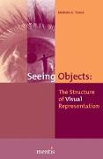 Seeing Objects: The Structure of Visual Representation