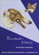 Rassehunde - Wildhunde