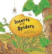 Insects and Spiders: Insects and Spiders