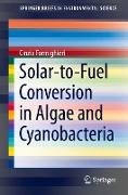 Solar-to-fuel conversion in algae and cyanobacteria