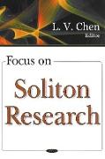 Focus on Soliton Research