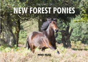 The Spirit of New Forest Ponies