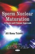 Sperm Nuclear Maturation