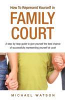 How To Represent Yourself in Family Court