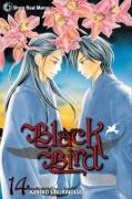 Black Bird Volume 14