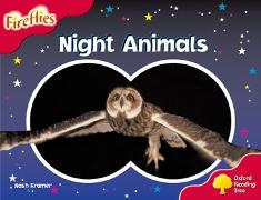 Oxford Reading Tree: Level 4: Fireflies: Night Animals