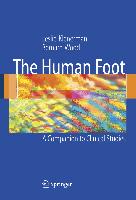 The Human Foot