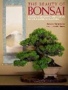 The Beauty of Bonsai: A Guide to Displaying and Viewing Nature's Exquisite Sculpture