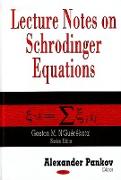 Lecture Notes on Schroedinger Equations