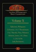 The New Interpreter's(r) Bible Commentary Volume X