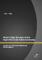 Nachhaltige Energie durch Hydrothermale Karbonisierung: Aspekte der Wirtschaftlichkeit und Anwendbarkeit