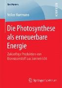 Die Photosynthese als erneuerbare Energie