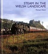 Steam in the Welsh Landscape