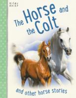 The Horse and the Colt