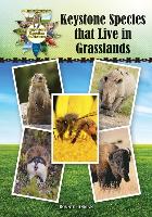 Keystone Species That Live in Grasslands