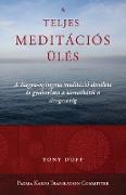 A teljes meditációs ülés