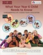 What your year 6 child needs to know