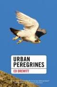 Urban Peregrines