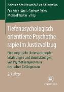 Tiefenpsychologisch orientierte Psychotherapie im Justizvollzug