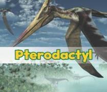 Pterodactyl