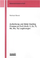 Aufkohlung und Metal Dusting Prozess an Fe-X (X=Si, V, Cr, Ti, Nb, Mo, Ta) Legierungen