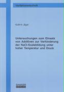 Untersuchungen zum Einsatz von Additiven zur Verhinderung der NaCl-Scalebildung unter hoher Temperatur und Druck