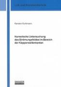 Numerische Untersuchung des Strömungsfeldes im Bereich der Klappenseitenkanten