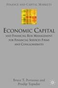 Economic Capital and Financial Risk Management for Financial Services Firms and Conglomerates