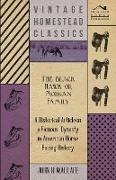 The Black Hawk or Morgan Family - A Historical Article on a Famous Dynasty in American Horse Racing History