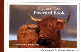 Highland Cow Postcard Book