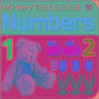 My Very First Look at Numbers